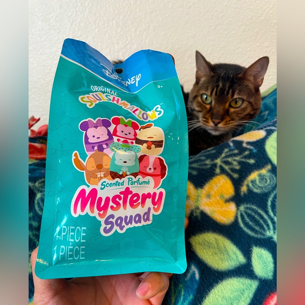 COPY - DISNEY 5” mystery scented squishmallow